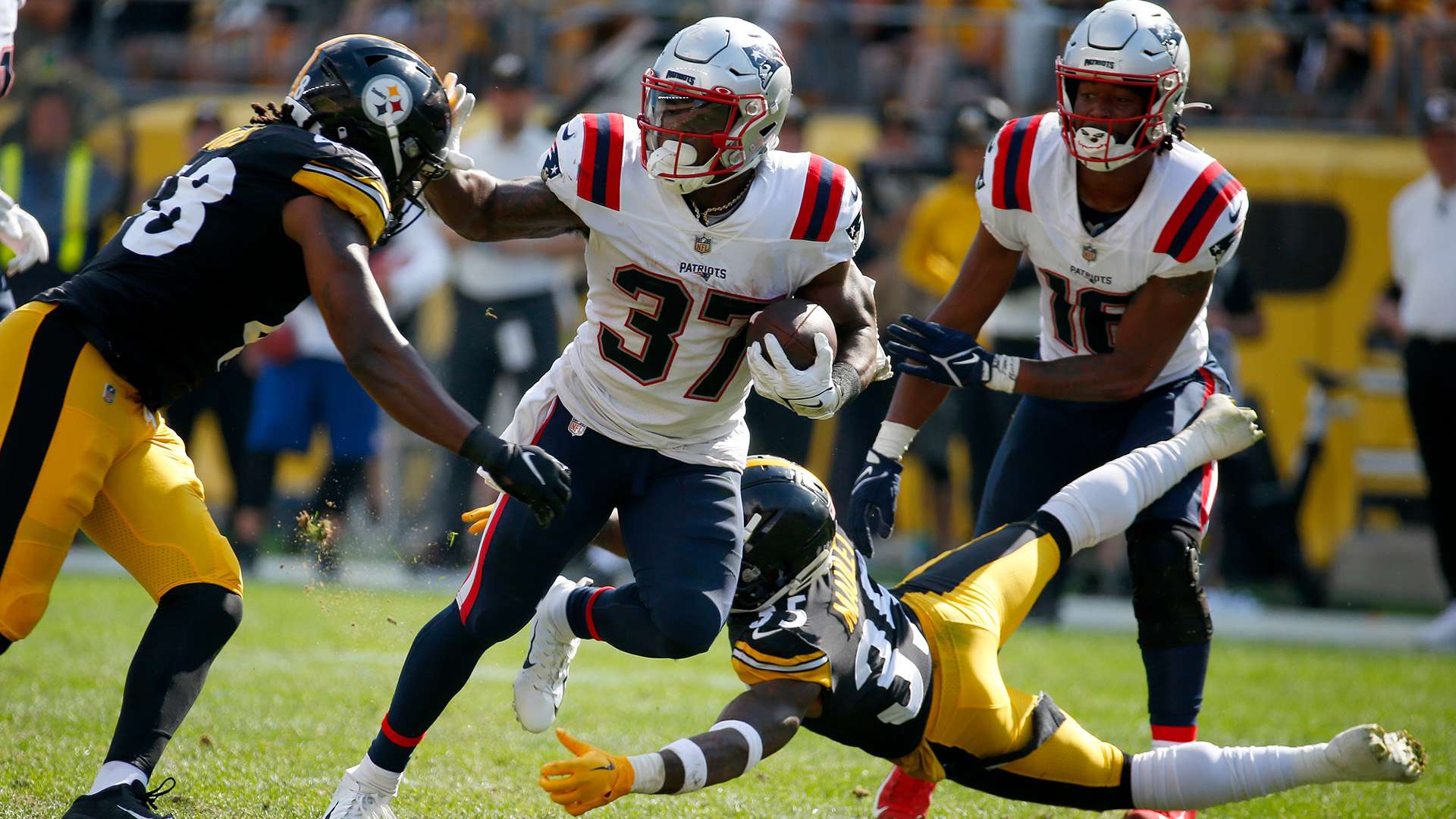 期待与质疑 期待与质疑